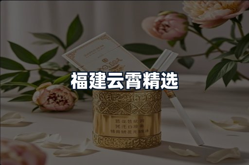 福建云霄精选